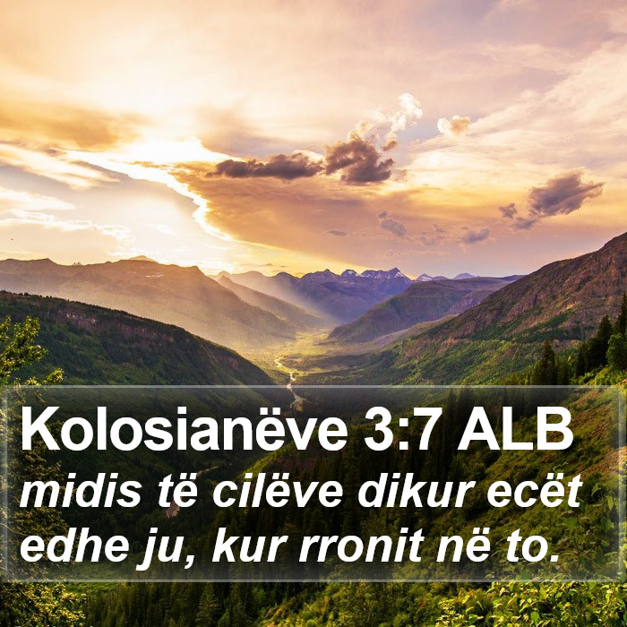 Kolosianëve 3:7 ALB Bible Study