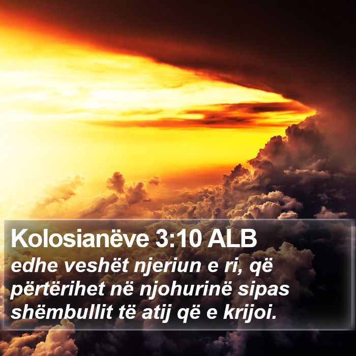 Kolosianëve 3:10 ALB Bible Study