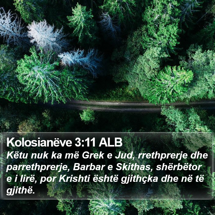 Kolosianëve 3:11 ALB Bible Study