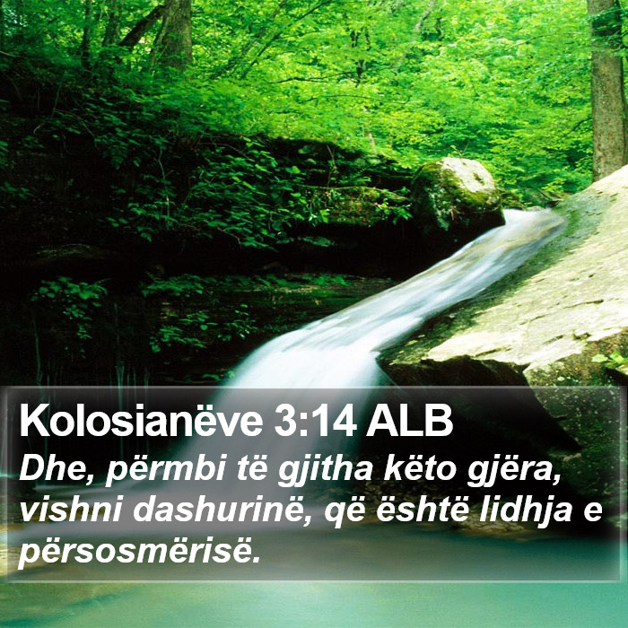 Kolosianëve 3:14 ALB Bible Study