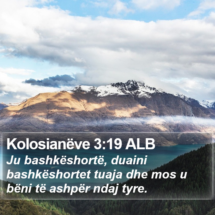 Kolosianëve 3:19 ALB Bible Study