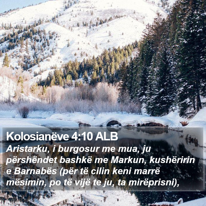 Kolosianëve 4:10 ALB Bible Study