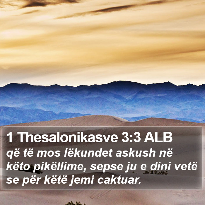 1 Thesalonikasve 3:3 ALB Bible Study