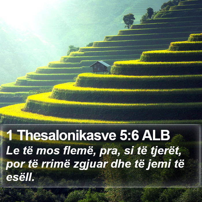 1 Thesalonikasve 5:6 ALB Bible Study