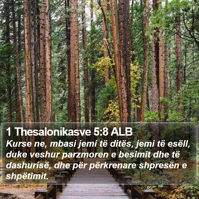 1 Thesalonikasve 5:8 ALB Bible Study