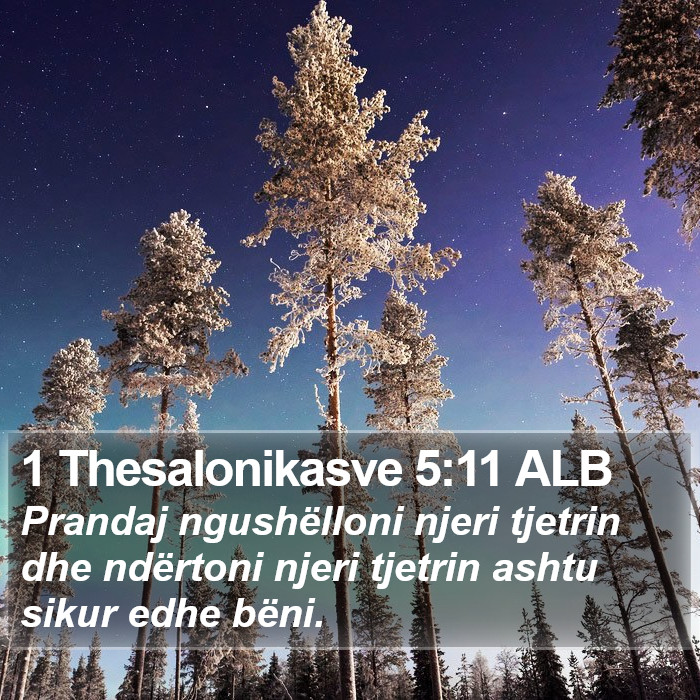 1 Thesalonikasve 5:11 ALB Bible Study