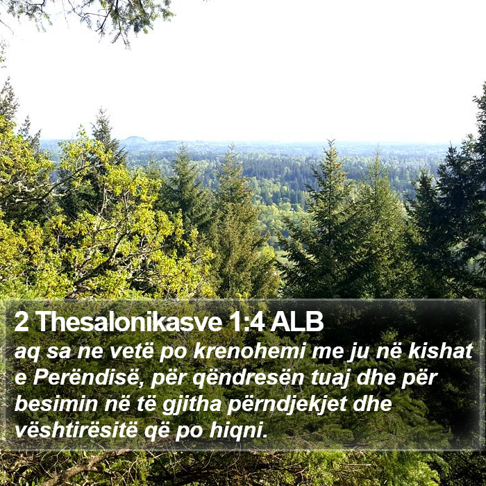 2 Thesalonikasve 1:4 ALB Bible Study