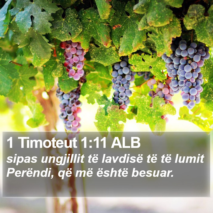 1 Timoteut 1:11 ALB Bible Study