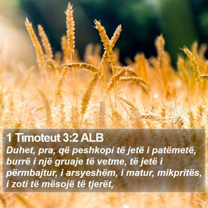 1 Timoteut 3:2 ALB Bible Study