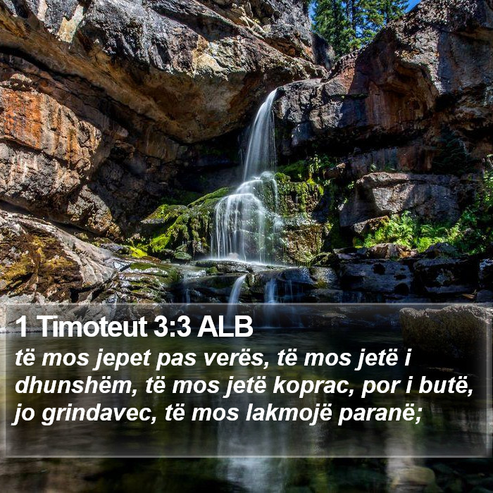 1 Timoteut 3:3 ALB Bible Study