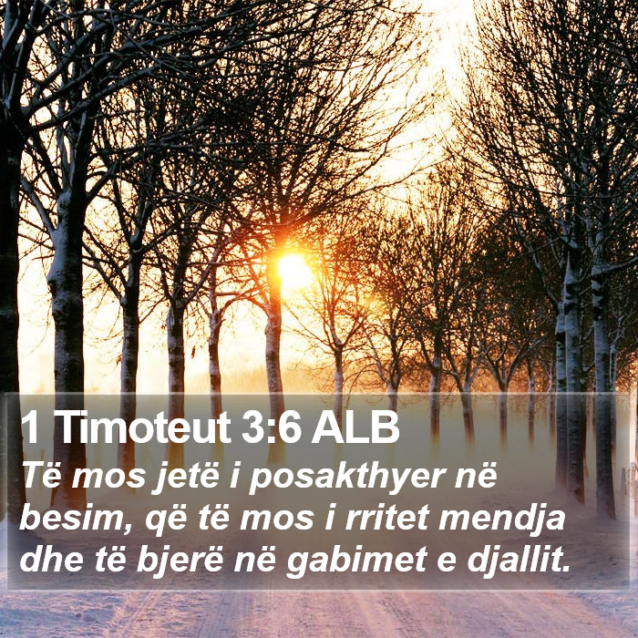 1 Timoteut 3:6 ALB Bible Study