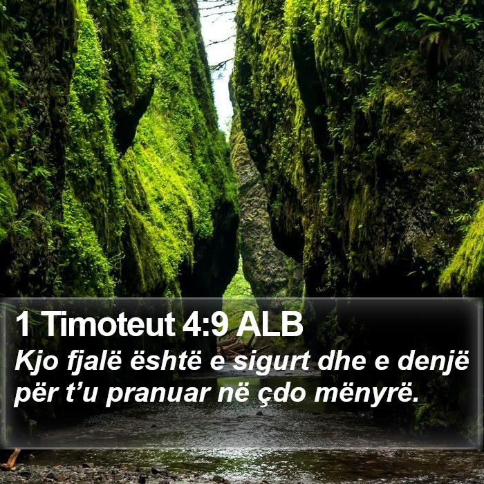 1 Timoteut 4:9 ALB Bible Study
