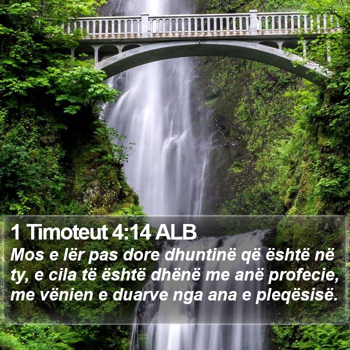 1 Timoteut 4:14 ALB Bible Study
