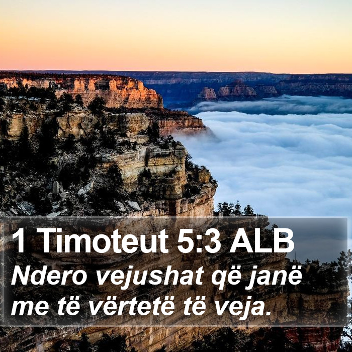 1 Timoteut 5:3 ALB Bible Study