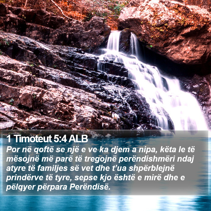 1 Timoteut 5:4 ALB Bible Study