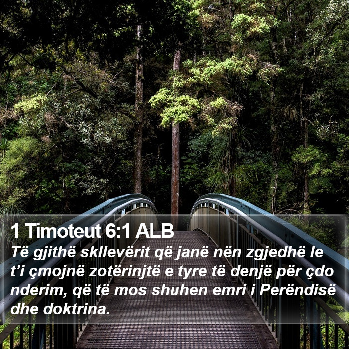 1 Timoteut 6:1 ALB Bible Study