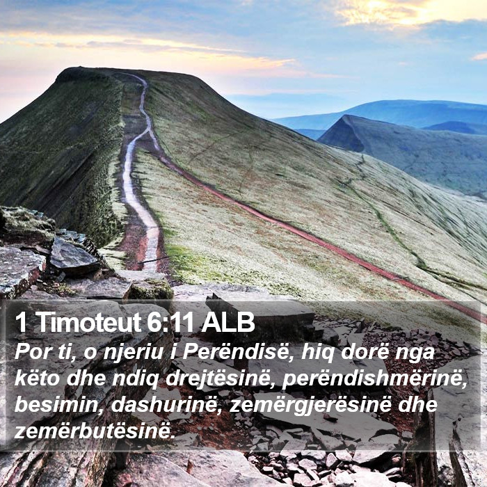 1 Timoteut 6:11 ALB Bible Study