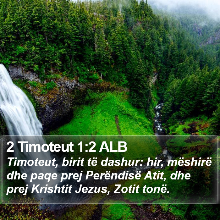 2 Timoteut 1:2 ALB Bible Study