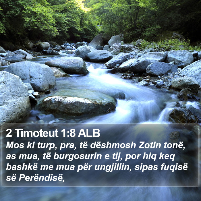 2 Timoteut 1:8 ALB Bible Study