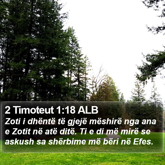 2 Timoteut 1:18 ALB Bible Study