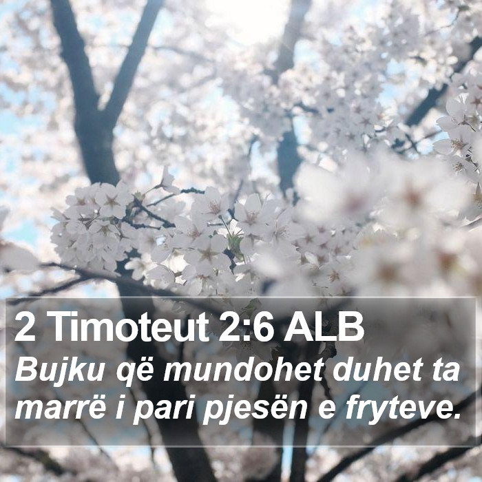 2 Timoteut 2:6 ALB Bible Study