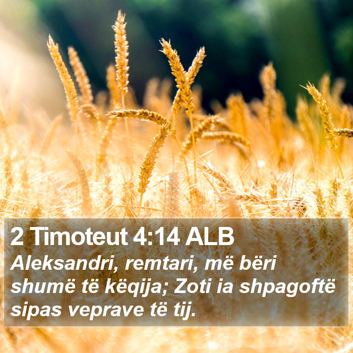 2 Timoteut 4:14 ALB Bible Study