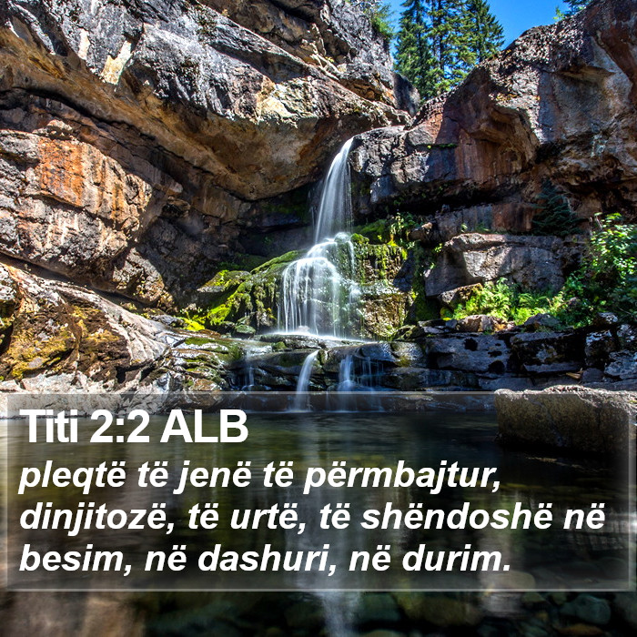 Titi 2:2 ALB Bible Study