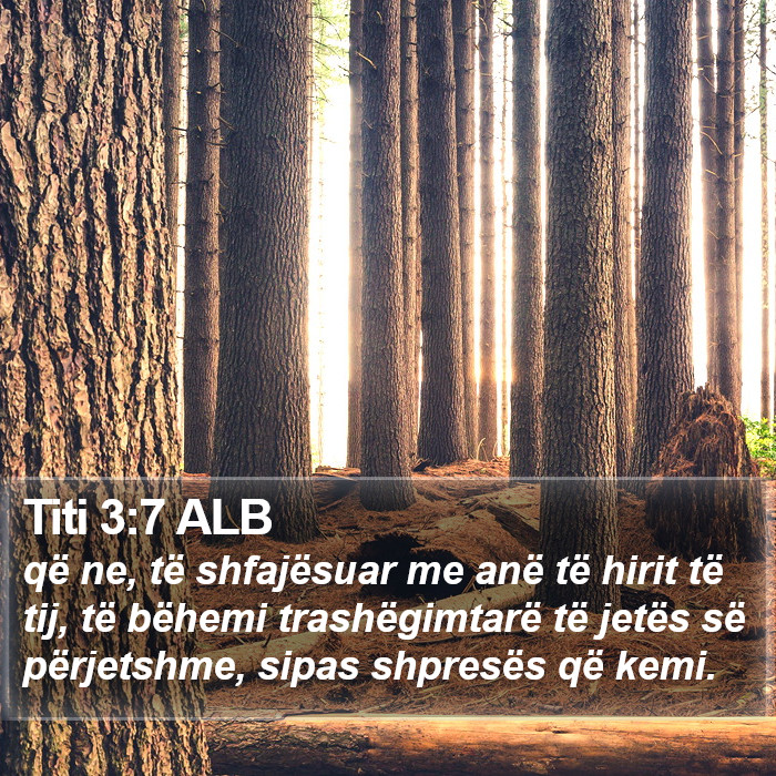Titi 3:7 ALB Bible Study
