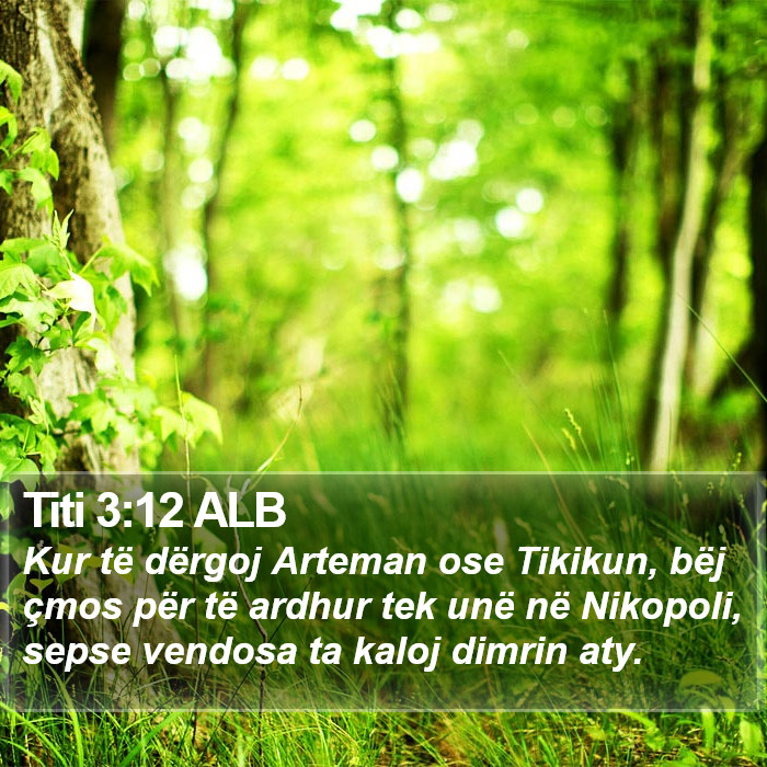Titi 3:12 ALB Bible Study