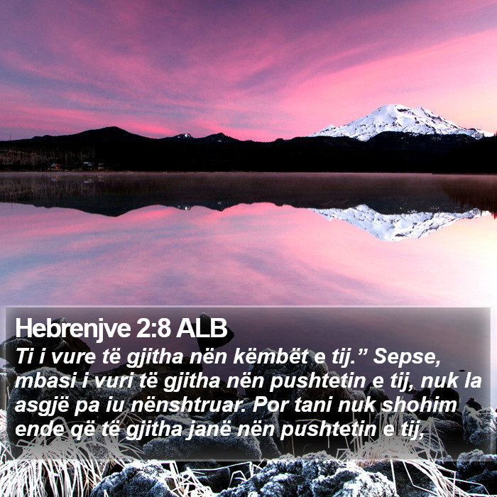 Hebrenjve 2:8 ALB Bible Study