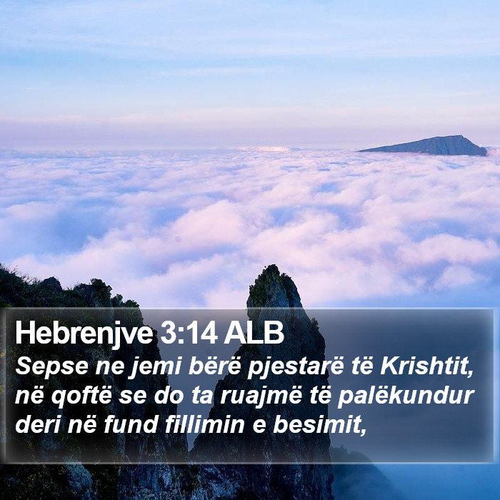 Hebrenjve 3:14 ALB Bible Study