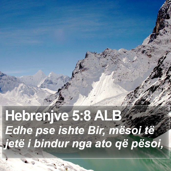 Hebrenjve 5:8 ALB Bible Study