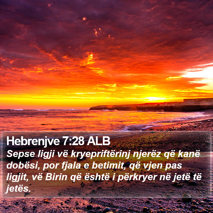 Hebrenjve 7:28 ALB Bible Study