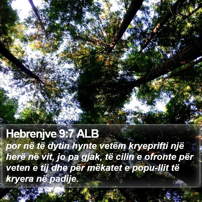 Hebrenjve 9:7 ALB Bible Study