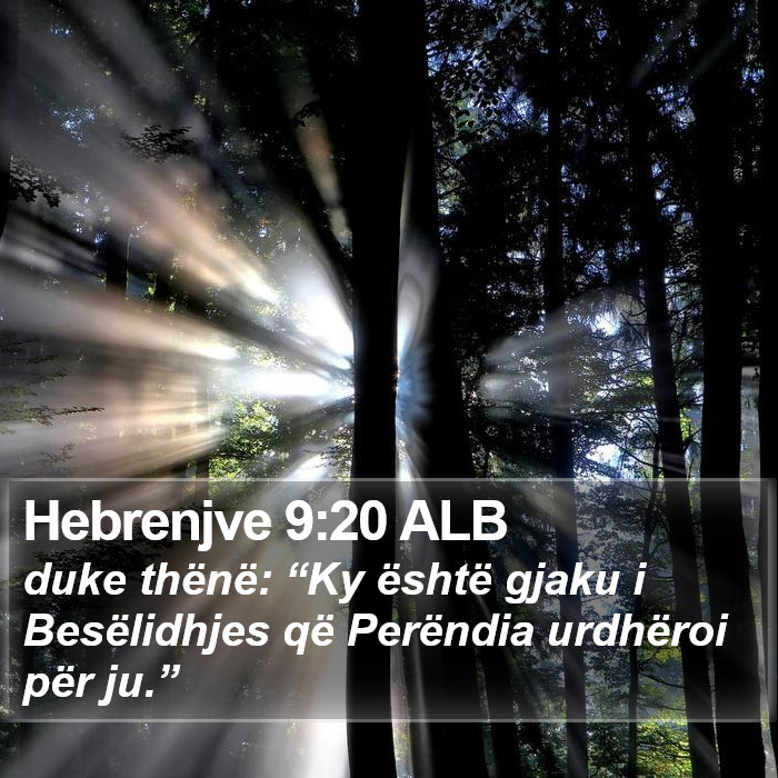 Hebrenjve 9:20 ALB Bible Study