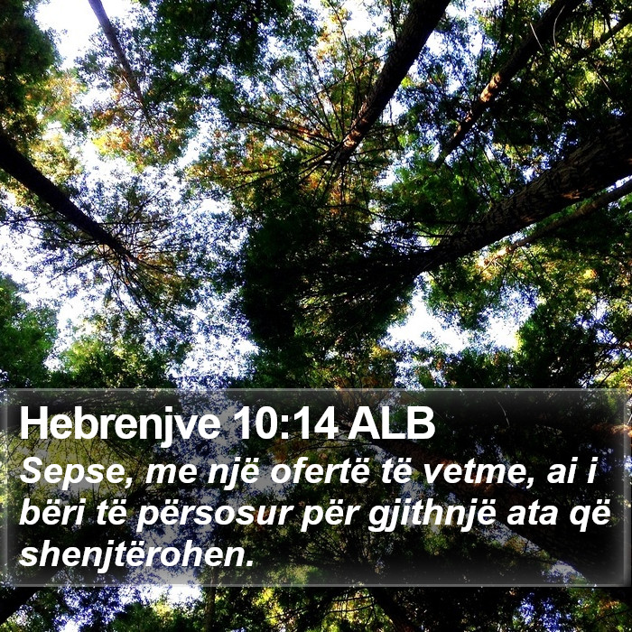 Hebrenjve 10:14 ALB Bible Study