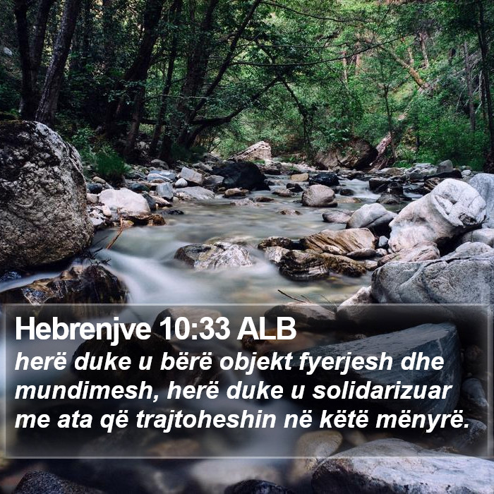 Hebrenjve 10:33 ALB Bible Study