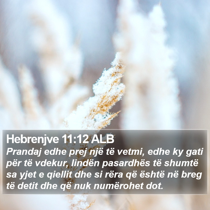 Hebrenjve 11:12 ALB Bible Study