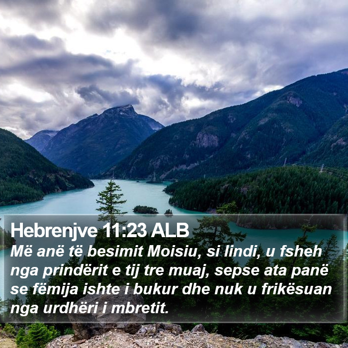Hebrenjve 11:23 ALB Bible Study