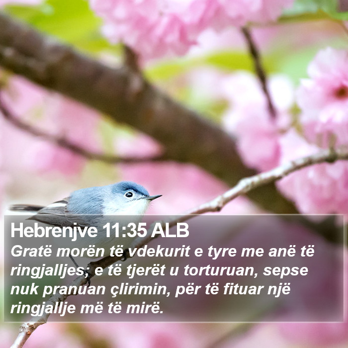 Hebrenjve 11:35 ALB Bible Study