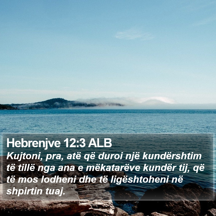 Hebrenjve 12:3 ALB Bible Study