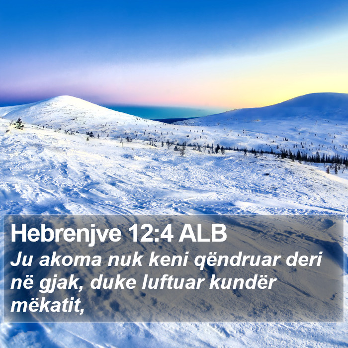 Hebrenjve 12:4 ALB Bible Study