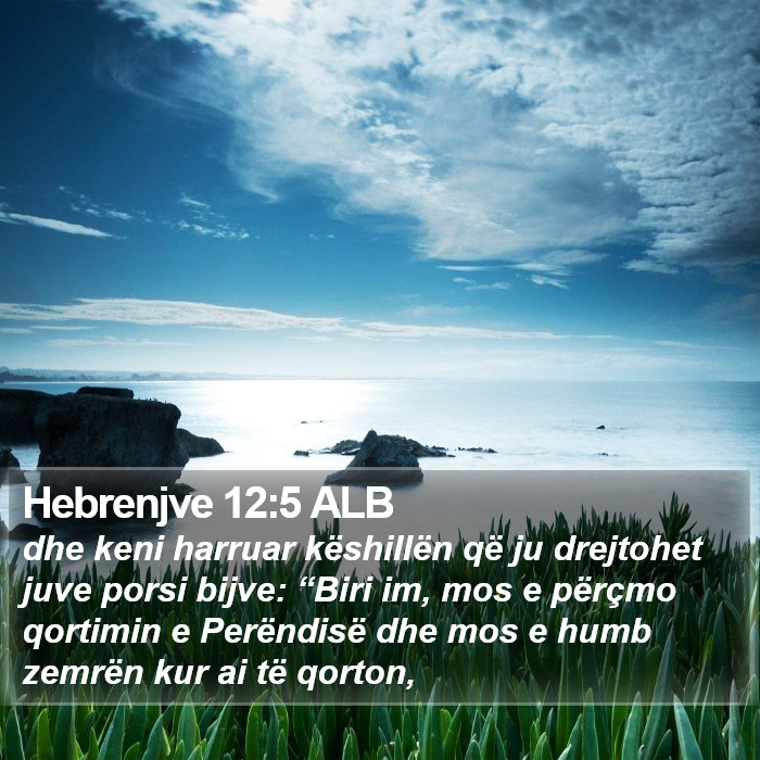 Hebrenjve 12:5 ALB Bible Study