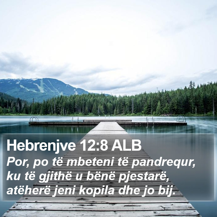 Hebrenjve 12:8 ALB Bible Study