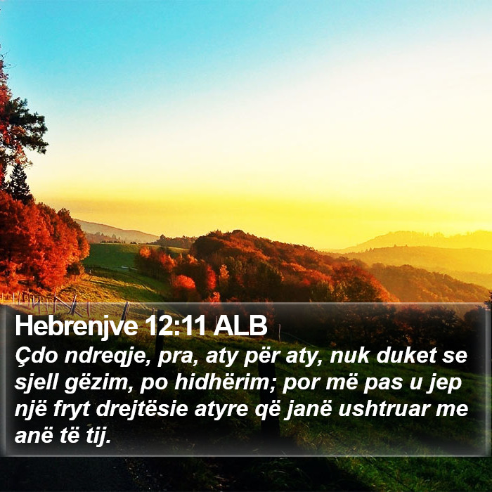 Hebrenjve 12:11 ALB Bible Study