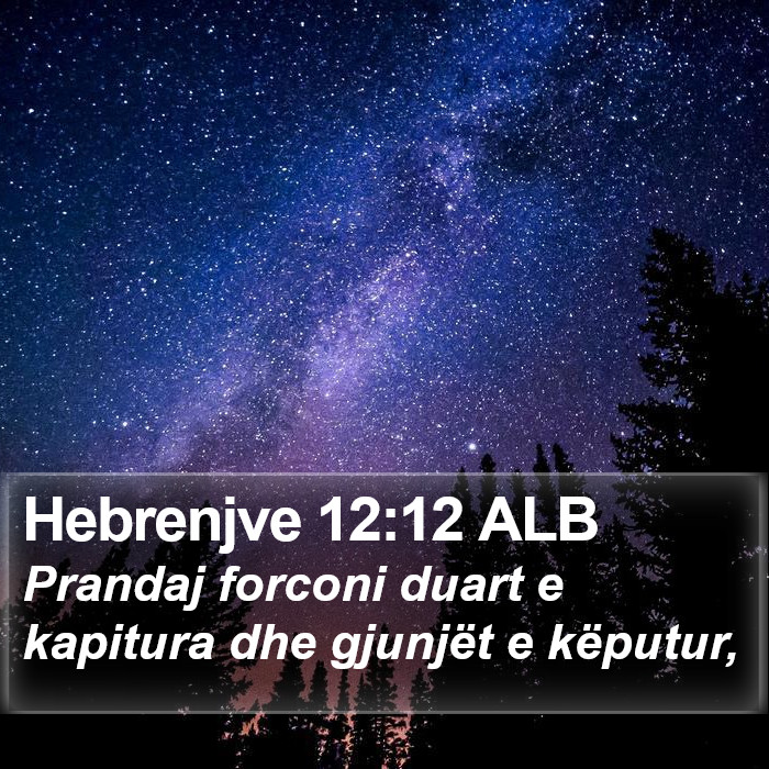 Hebrenjve 12:12 ALB Bible Study