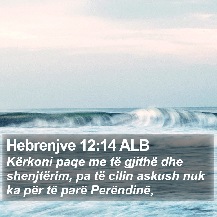 Hebrenjve 12:14 ALB Bible Study