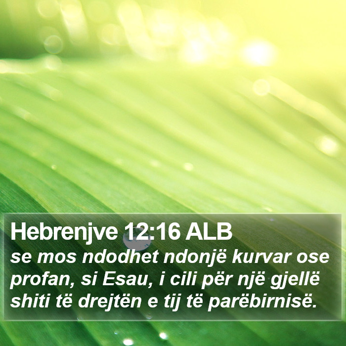 Hebrenjve 12:16 ALB Bible Study