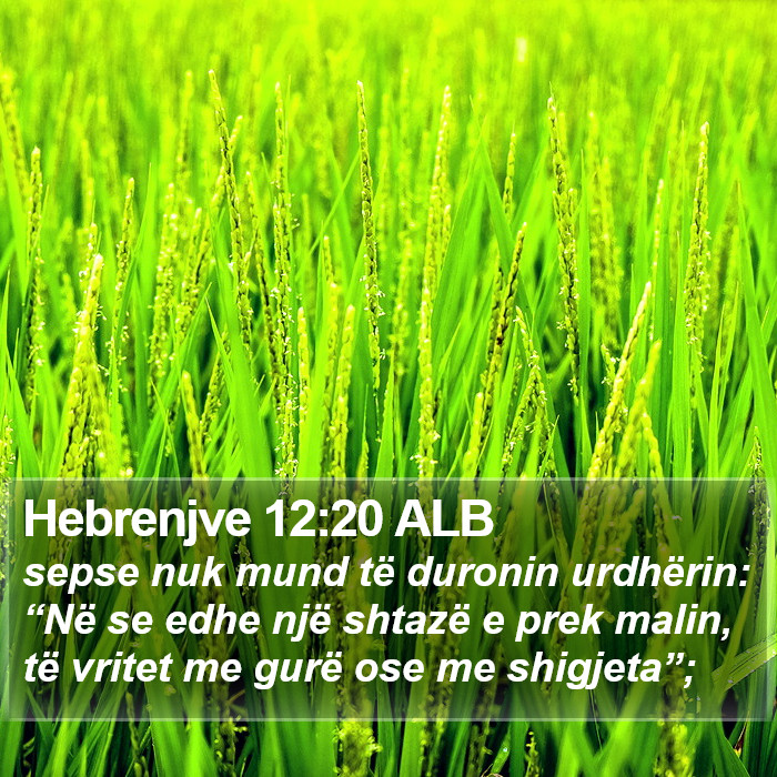 Hebrenjve 12:20 ALB Bible Study