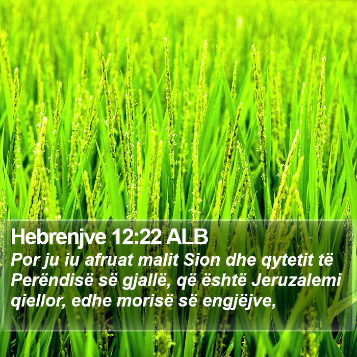 Hebrenjve 12:22 ALB Bible Study